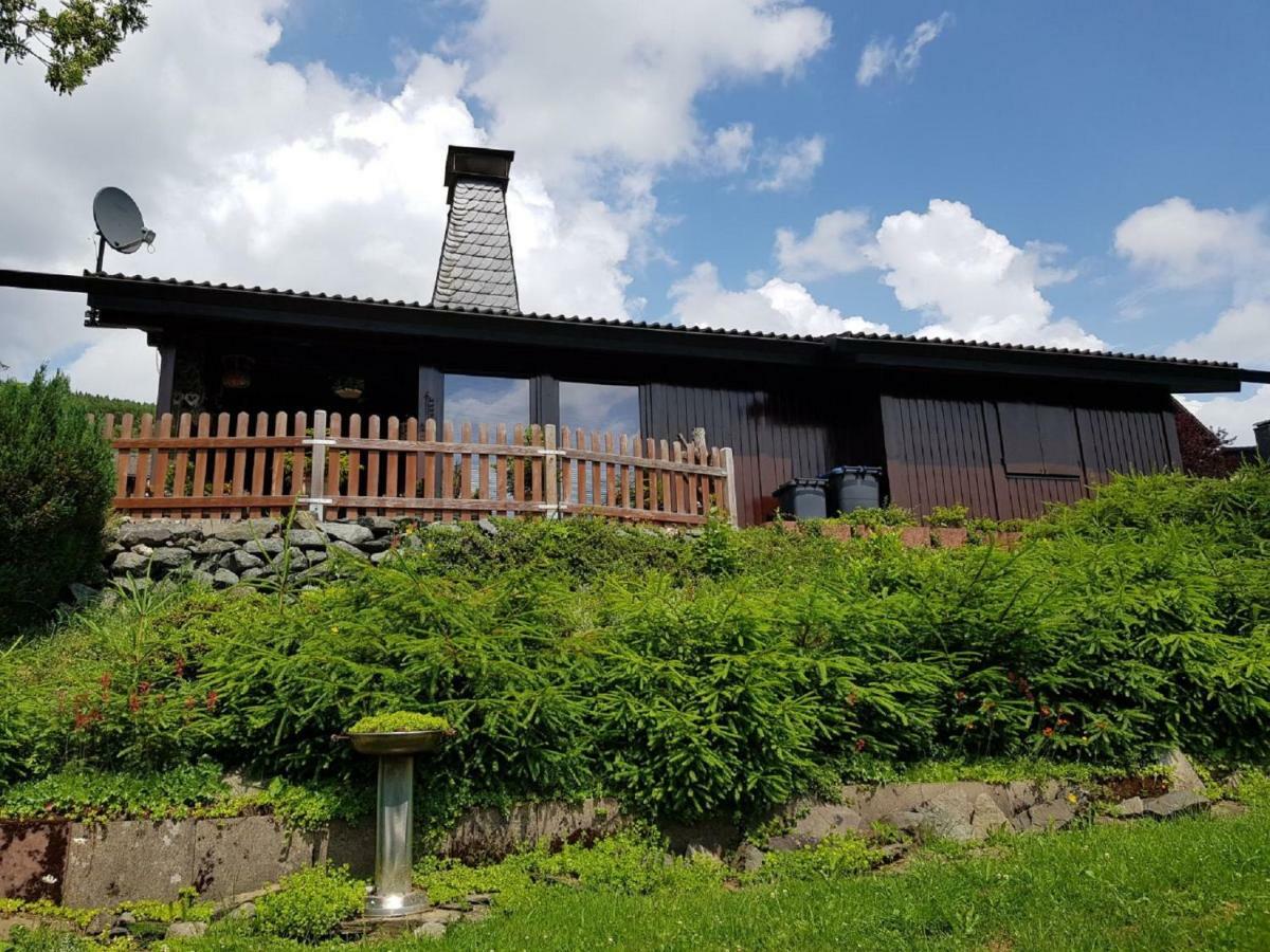 Haus Ani Winterberg Βίλα Εξωτερικό φωτογραφία