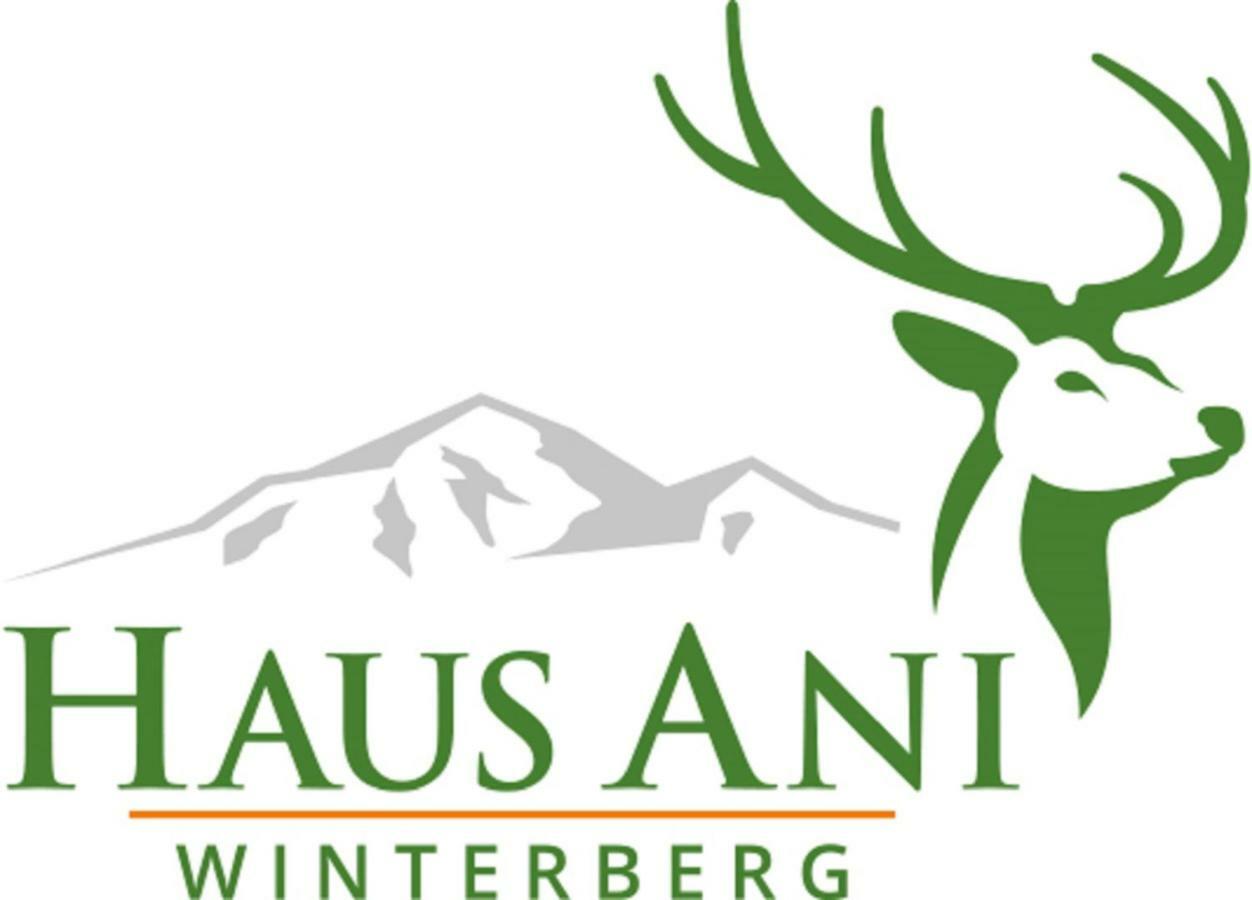Haus Ani Winterberg Βίλα Εξωτερικό φωτογραφία