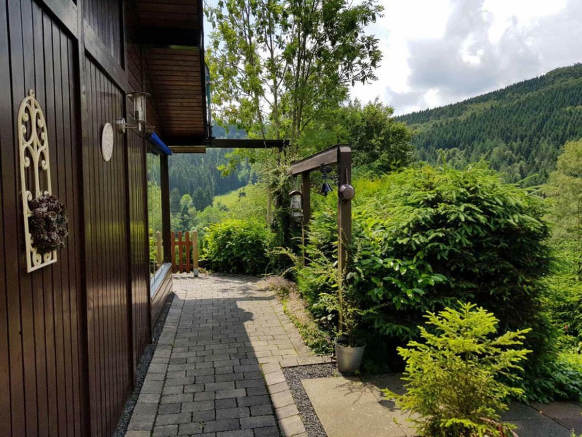 Haus Ani Winterberg Βίλα Εξωτερικό φωτογραφία