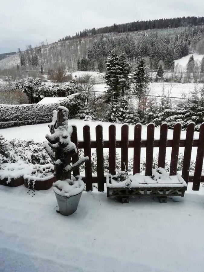 Haus Ani Winterberg Βίλα Εξωτερικό φωτογραφία