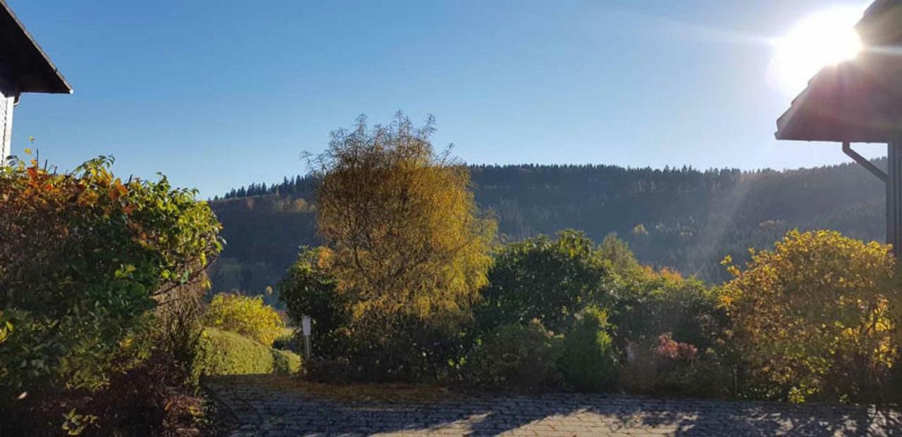 Haus Ani Winterberg Βίλα Εξωτερικό φωτογραφία